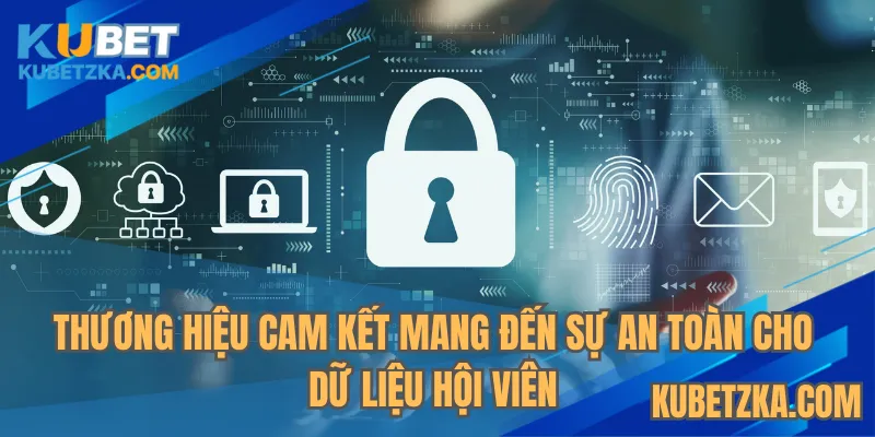 Thương hiệu cam kết mang đến sự an toàn cho dữ liệu hội viên